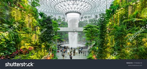 Changi Airport Singapore July 14 Waterfall Stock Photo 1774668218 ...