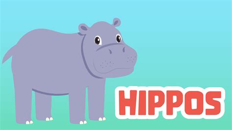 5 Huge Hippos Facts for Our Little Zoologists