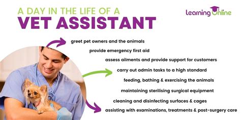 What Qualifications Do I Need To Become A Vet Assistant