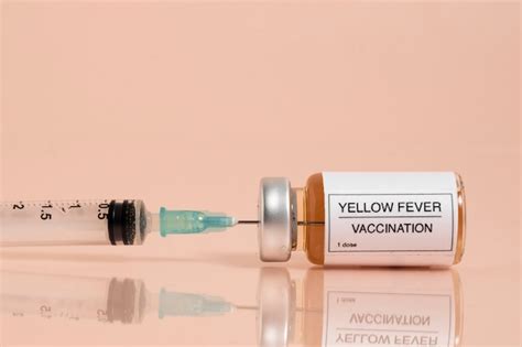 Free Photo | Yellow fever vaccine concept