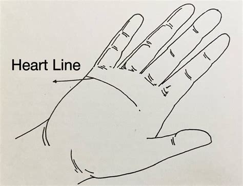 Palm Reading – Heart Line Meaning in Hand – Palm Reading