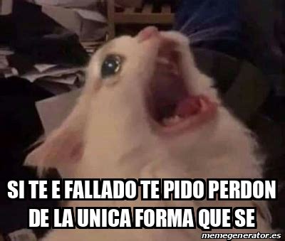 Meme Personalizado Si Te E Fallado Te Pido Perdon De La Unica Forma