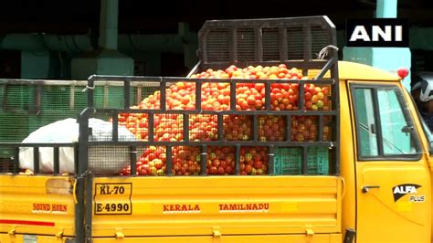 Ani On Twitter Tamil Nadu Farmers Growing Tomatoes In Coimbatore Say