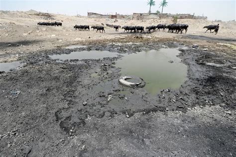 Twilight Of The Tigris Iraq S Mighty River Drying Up Forbes India