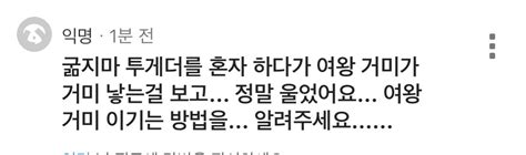 돈스타브 굶지마 잡담잡정보 On Twitter 1 밧줄을 여왕거미 아래에 놓고 태우면 경직되어 여왕거미가 공격하지 않는