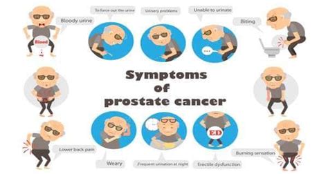 8 Symptoms Of Prostate Cancer Every Guy Should Know Read Health Related Blogs Articles And News