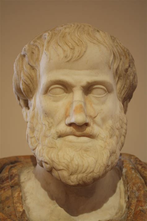 Aristotle Bust by Lisippo (Illustration) - World History Encyclopedia