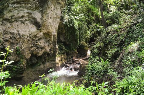 Lhabitat Naturale Del Fiume Nera 1