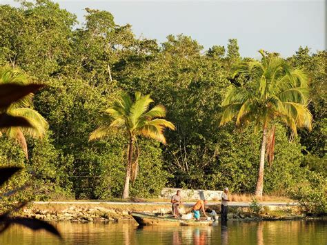 Fishing In The Bay Of Pigs Playa Larga Cuba Jan Mersey Flickr