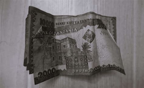 Discover the Current Exchange Rate: ‍45,000 Tanzanian Shillings to USD