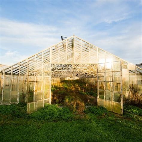 25 Small Greenhouses For Nearly Any Space2x2 And Up Insteading