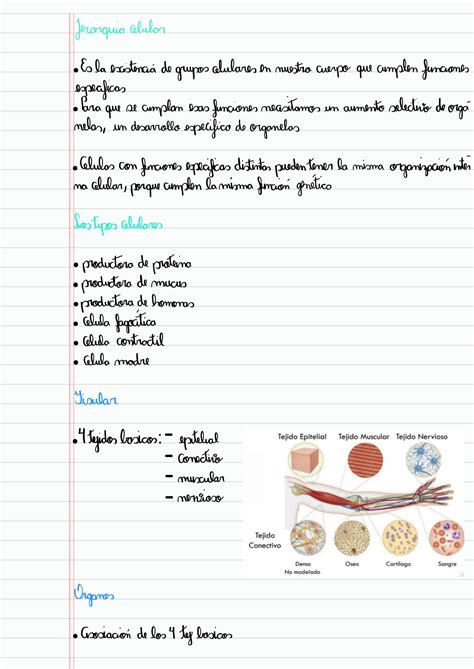 SOLUTION Técnicas histológicas y microscopia avanzada Studypool