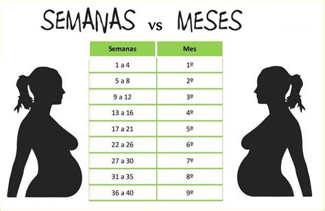 Calculadora De Embarazo Para Saber Si Es Niño O Niña Importancia de Niño