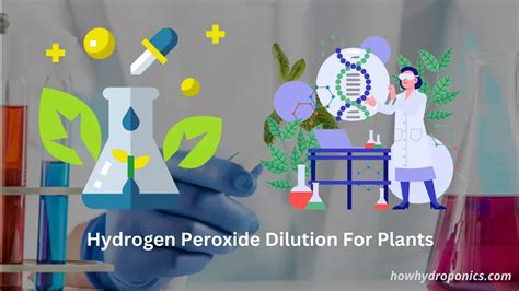 DIY Hydrogen Peroxide Dilution Calculator - How Hydroponics