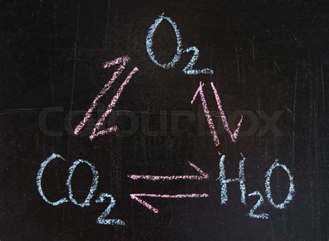 Interaktion Af Oxygen Carbondioxid Og Vand Stock Foto Colourbox