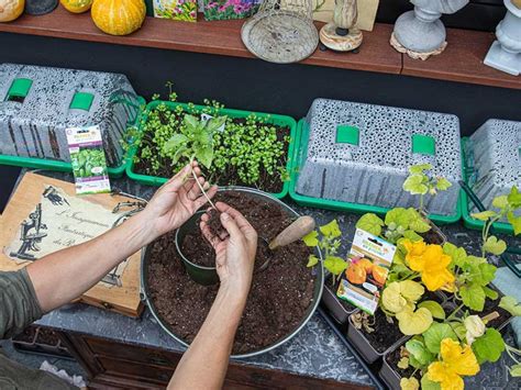 Améliorer ses résultats au potager Silence ça pousse