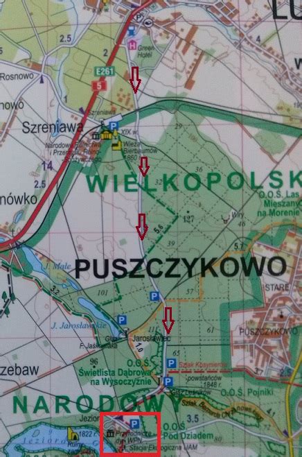 Wielkopolski W Czykij Blog O Turystyce W Wielkopolskim Parku