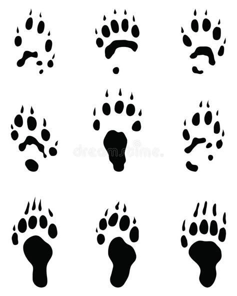 Black Footprints Of Dogs Paw Print Animal Tracks â€ Vector Stock