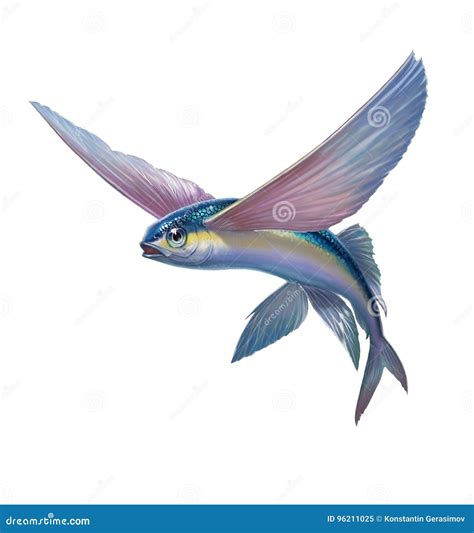 Flying Fish Stock Illustrations – 8,858 Flying Fish Stock Illustrations ...