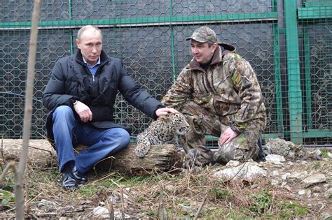 Leopards Return To The Caucasus After Almost Half A Century Russia Beyond