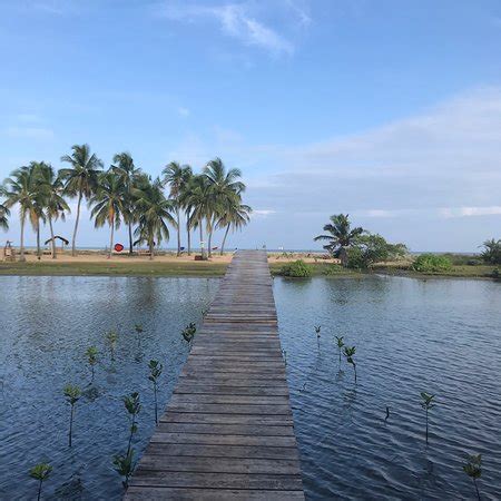 The Best Things To Do In Kalpitiya With Photos Tripadvisor