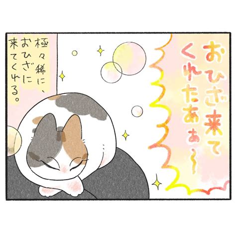 ママにゃん │ もふもふびより