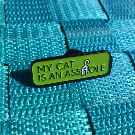 My Cat Is An Ahole Soft Enamel Pin 1 25 Kitty Cat Butt Etsy