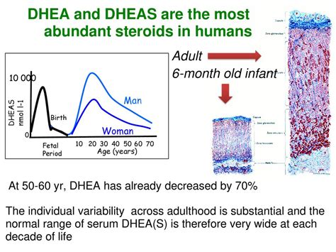 Case for androgens Giorgio Arnaldi Clinica di Endocrinologia - ppt download 