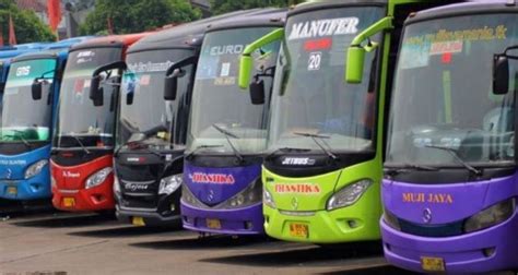 Perbedaan Bus Indonesia Vs Arab Saudi Okezone Otomotif