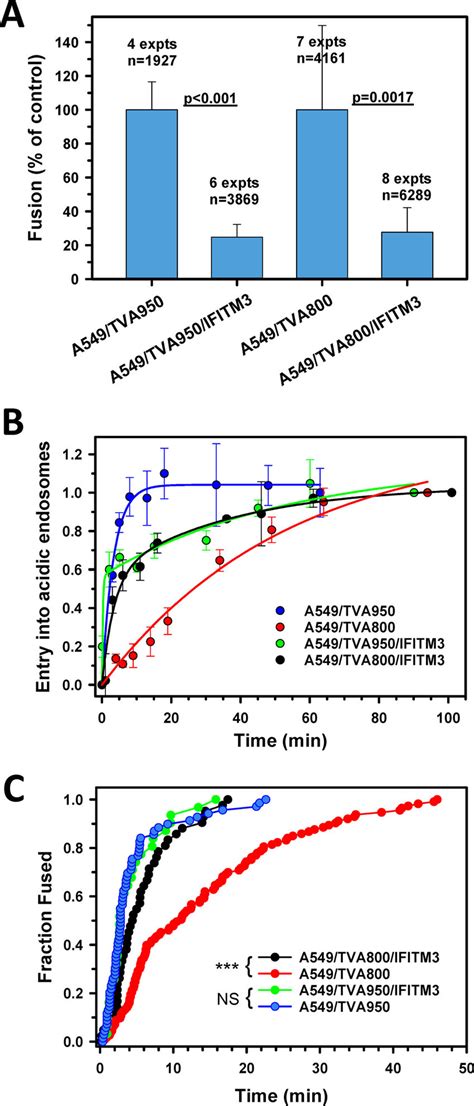 The Effect Of Ifitm On Extent And Kinetics Of Single Aslv Uptake And