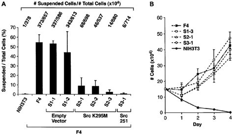 E Ect Of Dominant Negative Src On Growth Of F4 Cells In Vitro A