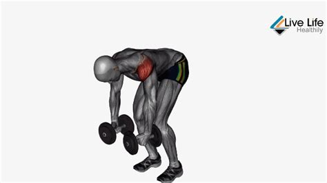 Best Rear Delt Dumbbell Exercises To Help Tone Shoulders