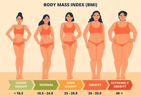 Average Body Fat Percentage What Numbers Tell Us About Health