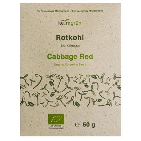 Keimgrün Bio Keimsaat Rotkohl