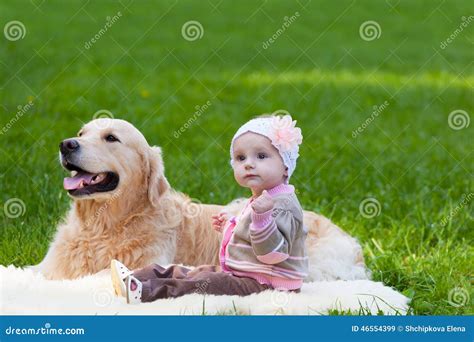 Petite Fille Et Chien De Race Un Golden Retriever Image Stock Image