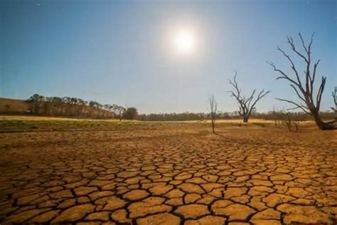 氣候異常 澳洲成乾旱大地 世界民報