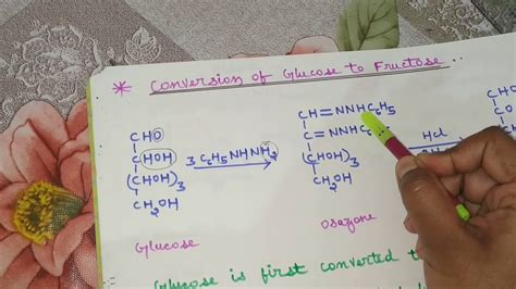 Conversion Of Glucose To Fructose YouTube