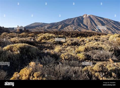 Teide Volcanic Rock Formations And Native Vegetation In Teide