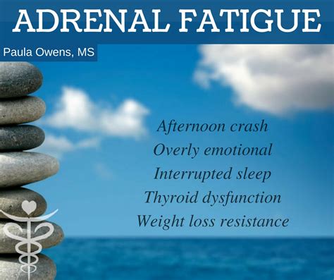 Adrenal Fatigue Root Causes And Symptoms Paula Owens