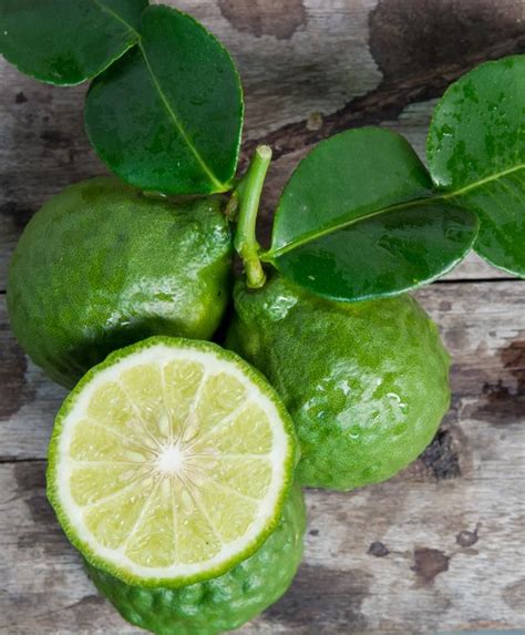 Bergamot Olie Citrus Aurantium Bergamia Fruit Oil Duftolie Olie Olier