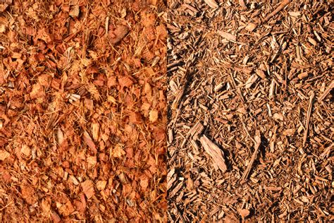 Coconut Mulch Vs. Wood Mulch: Which To Choose? - landscapingbase.com