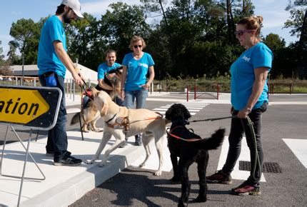 Un Lan De Solidarit En Faveur De L Association De Chiens Guides