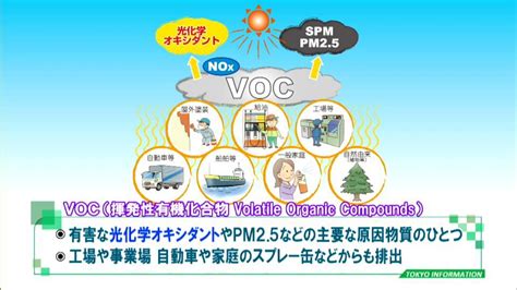 身近な自動車やスプレー缶も原因 夏は身体に悪影響を及ぼす光化学スモッグにも注意！｜ニフティニュース