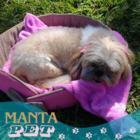 Coberta Manta Soft Mantinha Para Pet Cães Gatos Cachorros Shopee Brasil