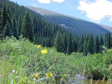 Fraser River Trail In Winter Park Colorado