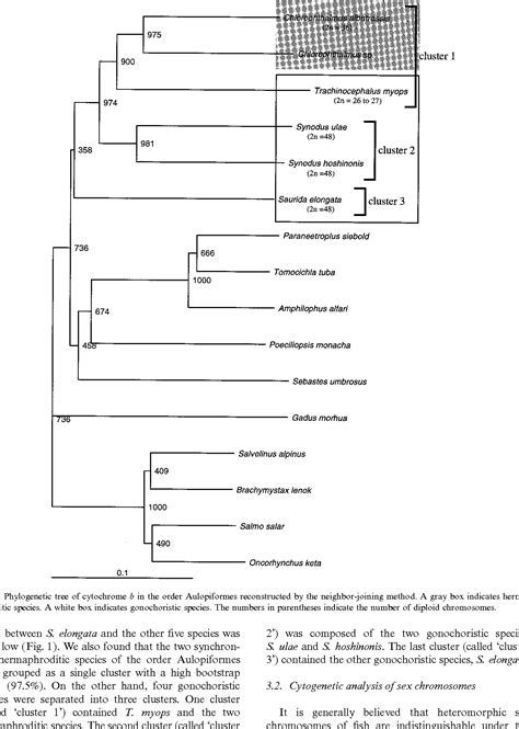 Figure From Evolution Of Heteromorphic Sex Chromosomes In The Order