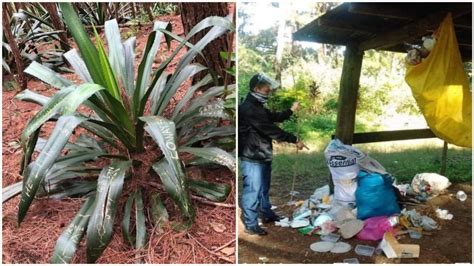 Baguio City Hiking Trail Closed Indefinitely After Tourists Dump Trash