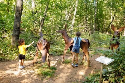 15 Best & Fun Things To Do In Stevens Point, Wisconsin | Touristchief