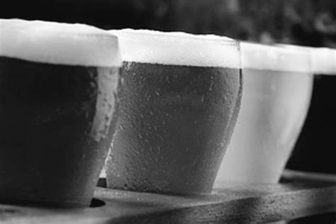 Craft Brewing Ecornell