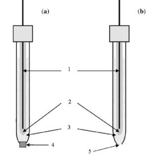 The potential of the Ag/AgCl electrode with various concentration ...